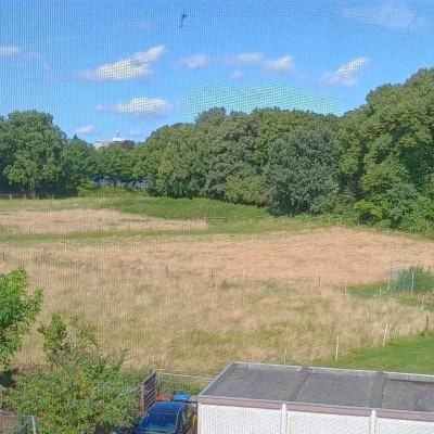 **Provisionsfrei** Stilvolle Maisonette-Wohnung mit Balkon ins Grüne in Bottrop-Vonderort