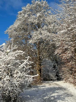 A+ WINTER-WUNDER-HAUS! Private DHH in ruhiger eingewachsener Lage