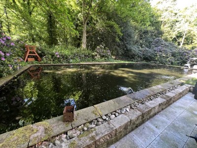 Bel Etage in exklusiver Denkmalimmobilie * Parkareal * Duisburger Stadwald * Privatsphäre pur