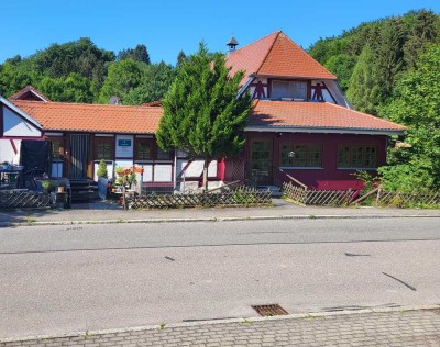 Am See 1 -Zi -Wohnung/Apartment direkt am See in 74738 Waldenburg Neumühlsee