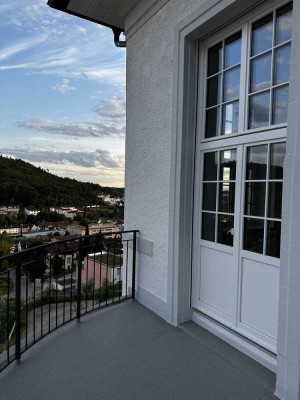 Traumwohnung im schlossähnlichen Denkmal 3,5 Zimmer mit Aussicht
