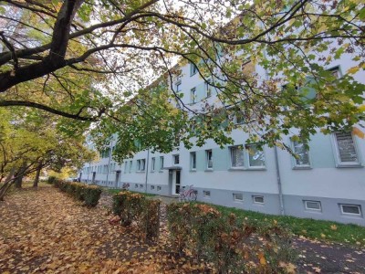 SINGLEWOHNUNG im ERDGESCHOSS