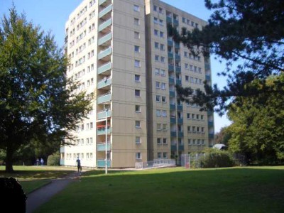 Kleine, feine Wohnung in Münster zur Miete- Wentzel Dr.