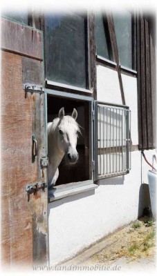 Familiäre Reitanlage in Mainhardter Wald-Idylle