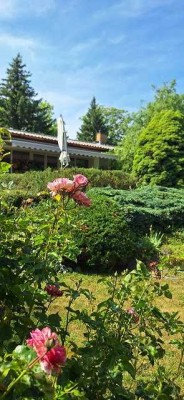 Einfamilienhaus im Bungalowstil ( Massivbauweise )