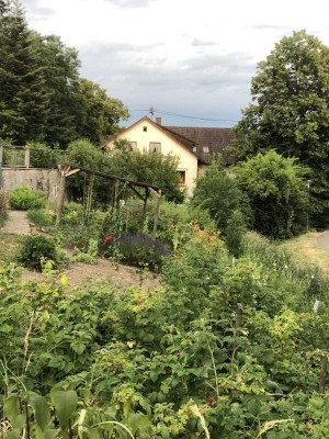 Ansprechende 2-ZimmerWohnung mit EBK, Terrasse und Gartenanteil in Kirchzarten