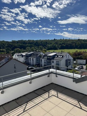 Erstbezug nach Renovierung: 2,5 Zimmer-Whg mit neuer Küche & Süd-Terrasse in Böblingen