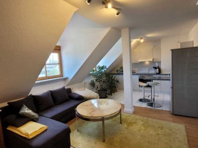 Geschmackvolle, modernisierte 2,5-Raum-Wohnung in Ludwigshafen am Rhein