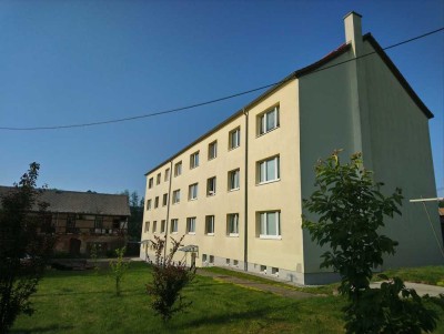 Mietwohnung, 3 Zi, Einbauküche, Garage