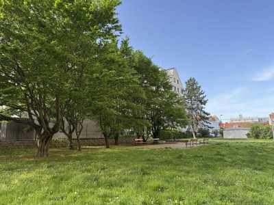 U1 und Donauzentrum Nähe 3 Zimmer Maisonette in Toplage