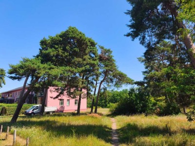 Gemütliche 2-Zimmer- Erdgeschoss- Wohnung  im grünen und ruhigen Wustermark !!!