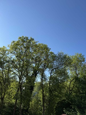 Herzorgpark München - Charmante 2,5 Zimmer Wohnung in Bestlage