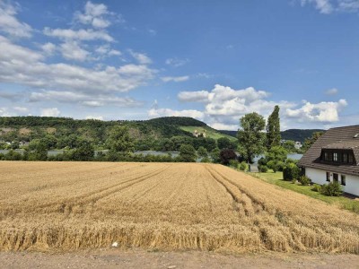 Tolle Wohnung mit seitlichem Schloss- und Rheinblick