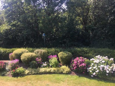 Attraktive 3-Zimmer Wohnung, 1. OG, in Heikendorf