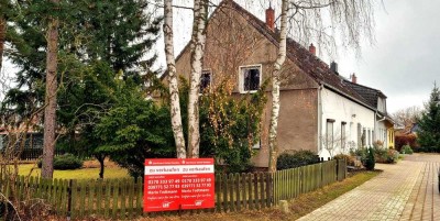 Waldgrundstückchen mit Reihenendhaus