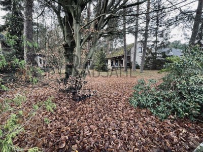 Sanierungsbedürftiges oder abbruchreifes EFH auf traumhaften (Bau)Grundstück in Waldrandlage!