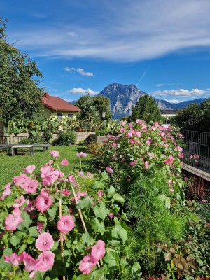 Schöne Gartenwohnung mit Traunsteinblick zur Untermiete