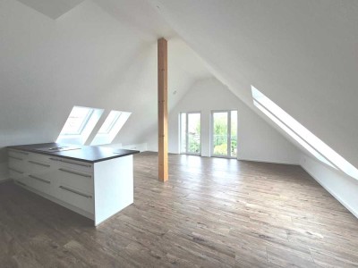 Penthouse 4,5 Zimmer mit Option für Einliegerwohnung (Vermietung / Kinder / Pflege)