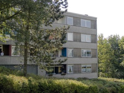 Geräumige 3 Zimmer Wohnung sucht neue Mieter !!