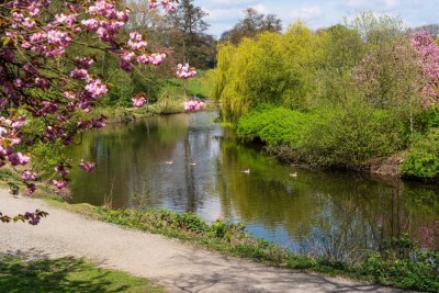 Besonderes Wohnerlebnis am Stadtpark