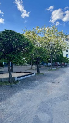 Frisch renovierte und teilmöblierte 1,5-Zimmer-Wohnung mit Balkon & Stellplatz