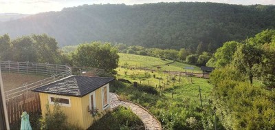 Idyllischer, sanierter Pferdehof mit 8 ha Weideland