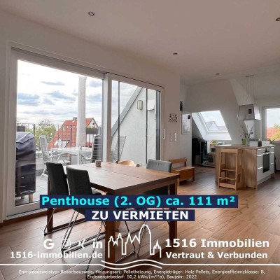 4ZKB Penthouse mit direktem Blick ins Grüne