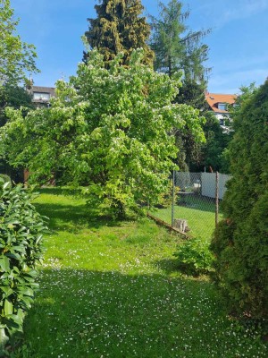 Wohn-Gewerbehaus mit herrlichem Garten in Bonn - Kessenich