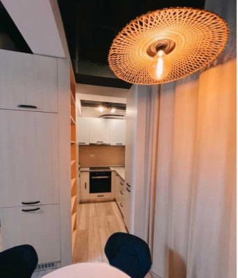 Geschmackvolle, modernisierte 1-Raum-Wohnung mit Balkon und Einbauküche in Waldshut-Tiengen