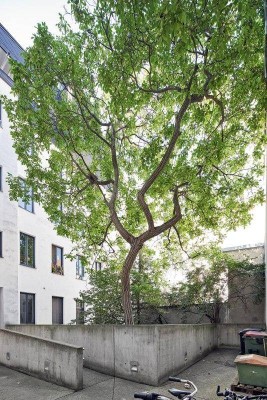 2007 sanierte Gartenwohnung in der Goldschlagstraße - unbefristet vermietet