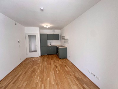 Wohlfühlfaktor garantiert – 2-Zimmer-Wohnung mit Charme! Lend Graz / Neubau