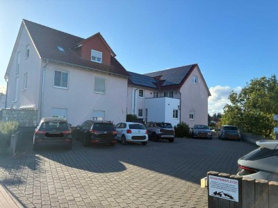 Exklusive, vollständig renovierte 2-Zimmer-Terrassenwohnung mit Garten in Wackernheim