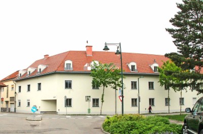 Charmante Dachgeschoßwohnung in Laxenburg – Ihr renovierungsbedürftiges Traumprojekt! 155.000 Fixpreis