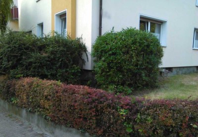 4 ZKDB mit neuwertiger Einbauküche, Dachterrasse und Garage in Frankfurt-Oberrad
