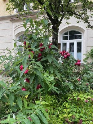 5 Gehminuten zur Isar: 2,5 Zimmer Altbau Wohnung Ludwigvorstadt-Isarvorstadt München