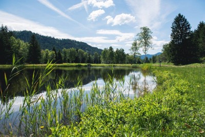 NATURPARADIES LÄNGSEE IN KÄRNTEN! NEUE 43 m² FERIENWOHNUNG MIT PRIVATTEICH! TOURISTISCHE VERMIETUNG! LETZTE CHANCE!