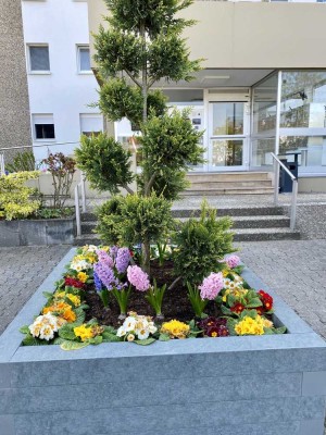 Sonnige Studiowohnung -  vollständig möbliert - mit Balkon, Küchenzeile und Stellplatz