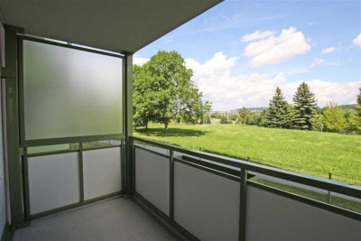 Helle 2-Raum-Wohnung im grünen Birkenpark