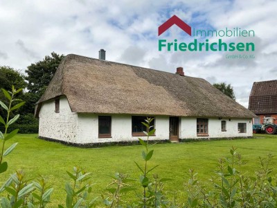 Historisches Bauernhaus mit Stallteil unter Reetdach