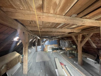 Projektfläche in der Hallertau: Altbestand für Macher