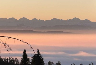 Forsthaus in Höchenschwand