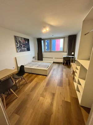Frisch sanierte möblierte 1-Zimmer-Wohnung mit Einbauküche + super Ausblick