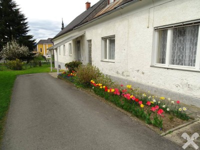 Eigenheim zum fairen Preis