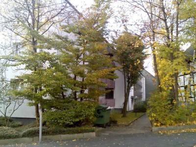 Renovierte helle Wohnung mit zwei Zimmern und Balkon in Hagen Eppenhausen (Hochschulviertel)