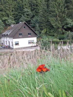 Helle 2-Zimmer Wohnung in Hellenthal mit Kamin und EBK