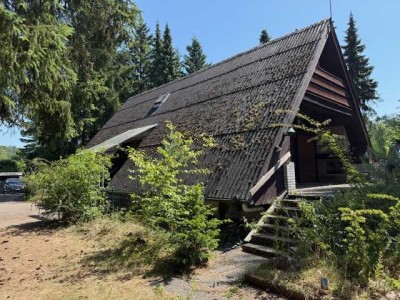 Charmantes Nurdachhaus mit großem Grundstück in ruhiger Lage von Neetze.