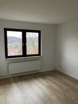 Bad Salzdetfurth - gemütliche 1 Zimmer Wohnung