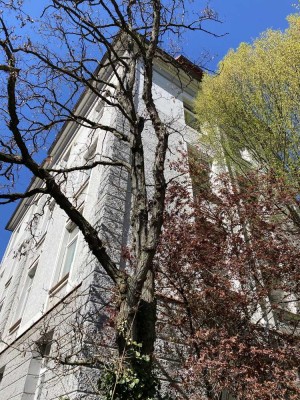Moderne 3 - Zi. DG Wohnung in ruhiger Grünlage, gr. Wohnküche, Besichtigungen-Sa., 27.09., 13.00 Uhr