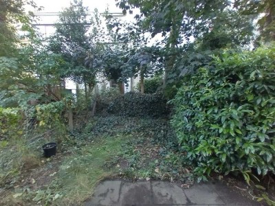 1-Zimmer-Souterrain-Wohnung mit kleinem Garten in der Neustadt