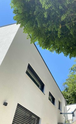 Moderens 1-Zimmer- Apartment ,modern möbliert, EBK in Kronberg